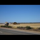 Getreideernte im australischen Frühling